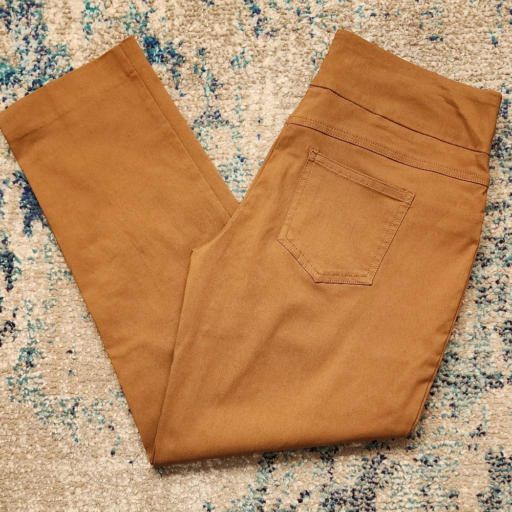 Ruby Rd. Cognac Pull On Tech Twill Pants Size 8p - image 2